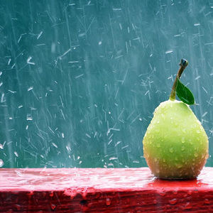 Meet your Posher, Jose